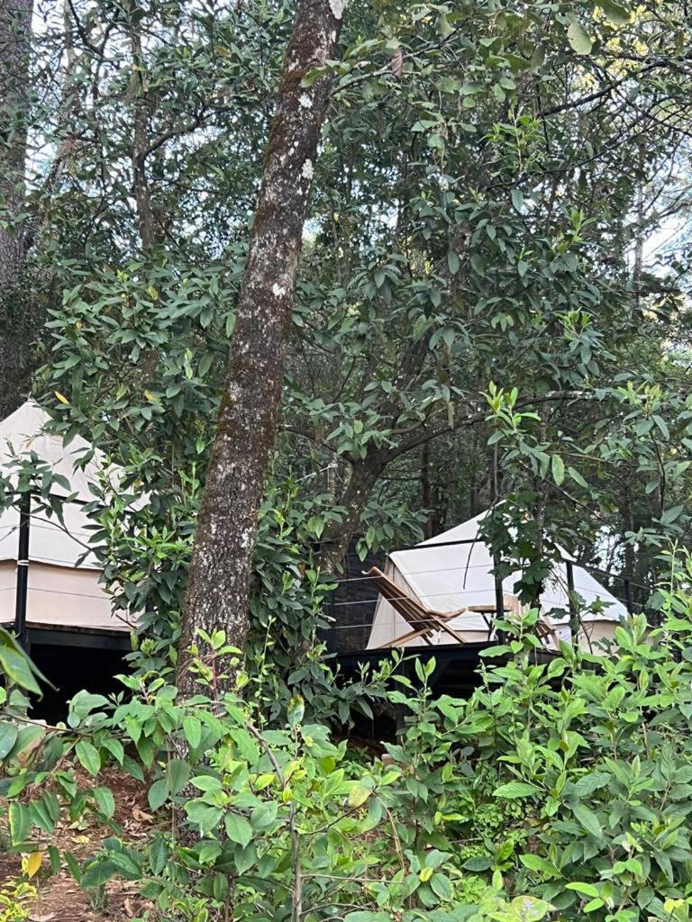 Hotel Oxu Solo Adultos فالي دي برافو المظهر الخارجي الصورة